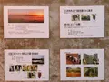 広島三次ワイナリーの写真_360454