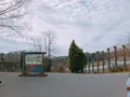 平田観光農園の写真_360512
