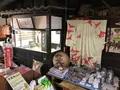 手打ちそば山菜料理 わらべの写真_360549