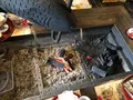 手打ちそば山菜料理 わらべの写真_360554