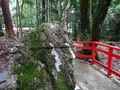 日吉大社 東本宮 本殿の写真_360644