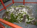 日吉大社の写真_360647