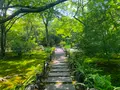 宝筐院の写真_360701