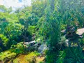 宝筐院の写真_360706