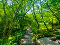 宝筐院の写真_360710