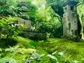 祇王寺の写真_360735