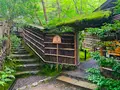 祇王寺の写真_360736