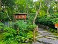 祇王寺の写真_360739