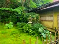 祇王寺の写真_360742