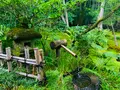 祇王寺の写真_360743