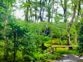 祇王寺の写真_360746