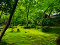 祇王寺の写真_360752
