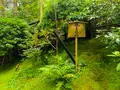 祇王寺の写真_360754