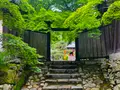 二尊院の写真_360759