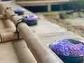 二尊院の写真_360762