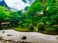 二尊院の写真_360765