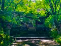 常寂光寺の写真_360782