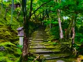 常寂光寺の写真_360785