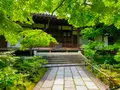常寂光寺の写真_360787