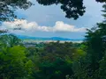 常寂光寺の写真_360789
