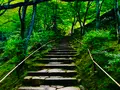常寂光寺の写真_360792