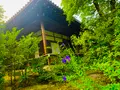 常寂光寺の写真_360798
