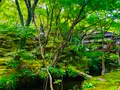 常寂光寺の写真_360801