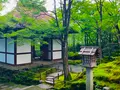 常寂光寺の写真_360803