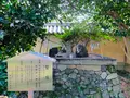 梅宮大社の写真_361251