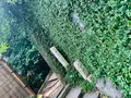 茂庵の写真_361302