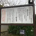 kopin_Journeyの写真_361714