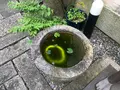 八幡堀の写真_361989