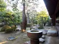 旧森川家住宅の写真_362111