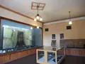 竹原市歴史民俗資料館の写真_362117