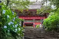 雨引山楽法寺（雨引観音）の写真_362276