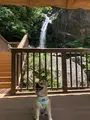 轟ノ滝の写真_362432