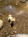 轟ノ滝の写真_362434
