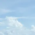 花人逢の写真_362448