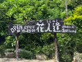 花人逢の写真_362450