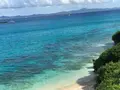 アンチ浜の写真_362454