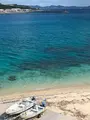 アンチ浜の写真_362455