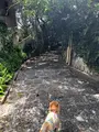 金城町石畳道の写真_362526