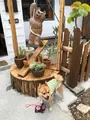 ヤッチとムーンの写真_362540