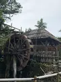 琉球村の写真_362715