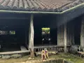 琉球村の写真_362716
