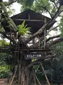 琉球村の写真_362717