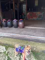 琉球村の写真_362718