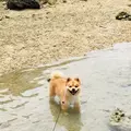 兼久ビーチの写真_363012