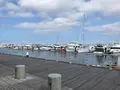 横浜ベイサイドマリーナの写真_363056