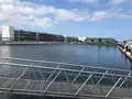 横浜ベイサイドマリーナの写真_363060